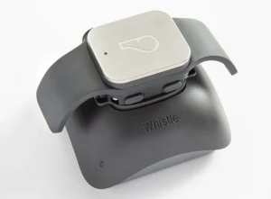 Dispositivo Whistle de monitoramento inteligente para pets, com módulo eletrônico prateado e suporte cinza para coleira.